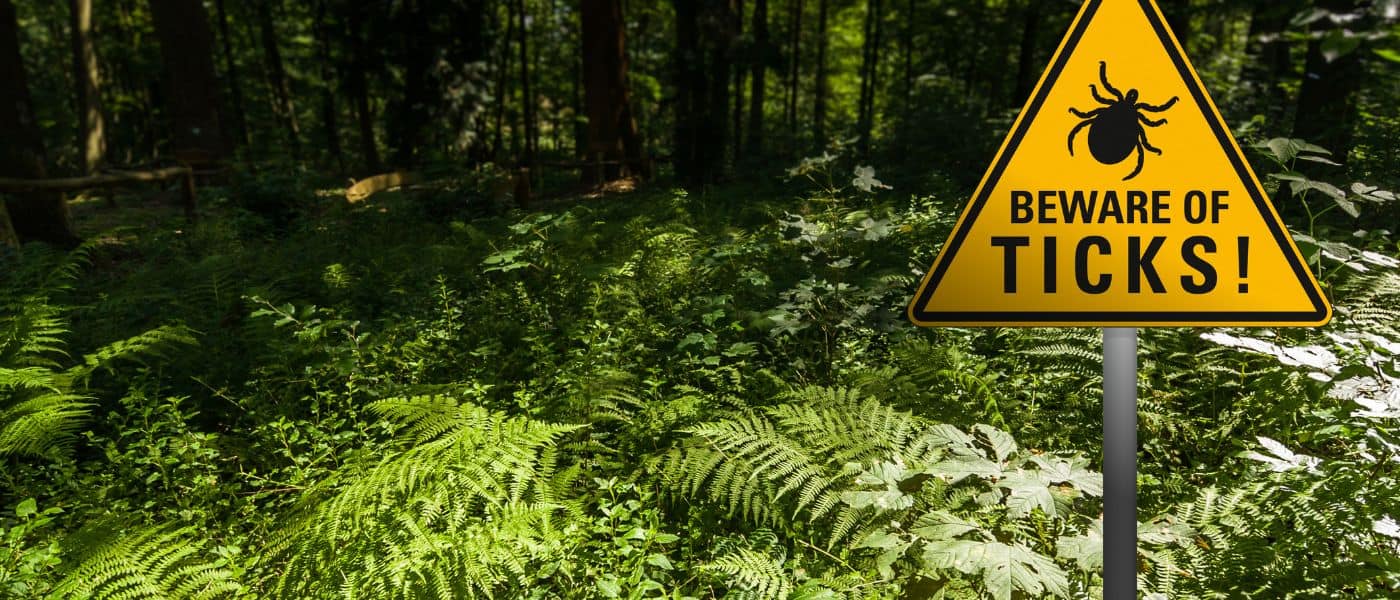 Scottish Ticks Stay Safe, Stay Informed.