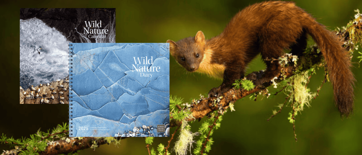 wild nature