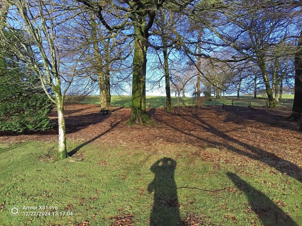 Ulefone x31 photo
