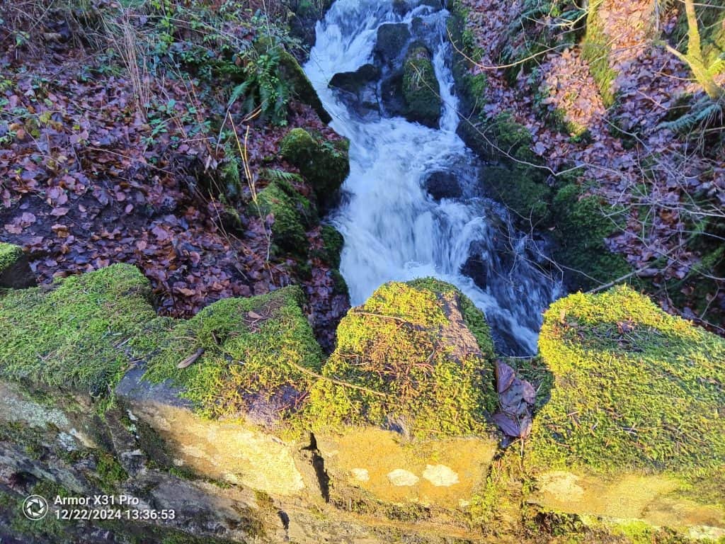 Ulefone x31 photo