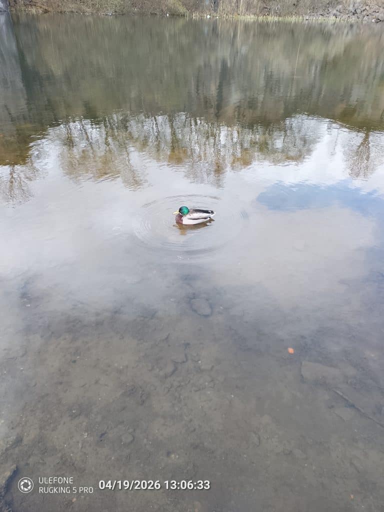 Ulefone Rugking 5 Pro photo Sample