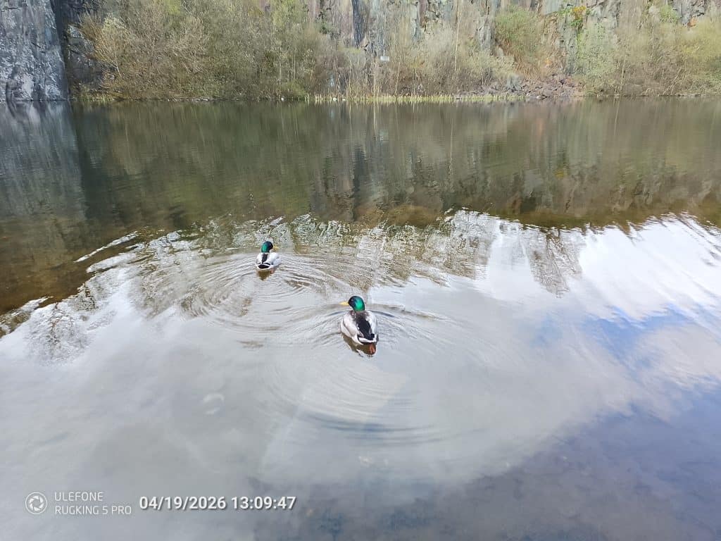 Ulefone Rugking 5 Pro photo Sample